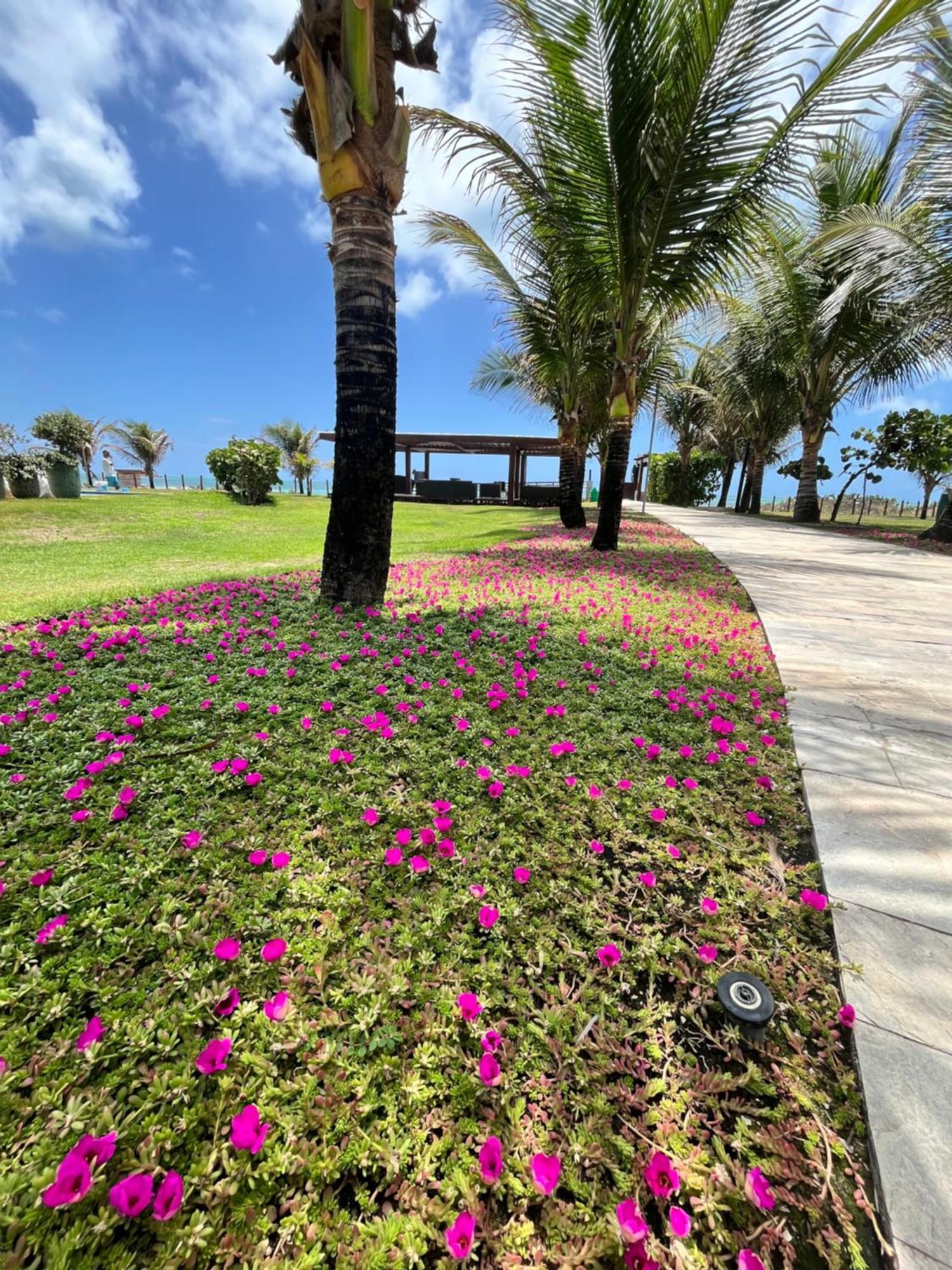 Resort Beira Mar Em Porto De Galinhas - Cupe Beach Living Pôrto das Galinhas Exterior foto